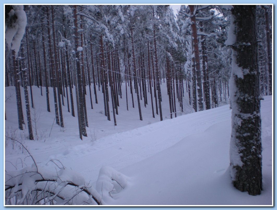 kuvatvalkealampi 179